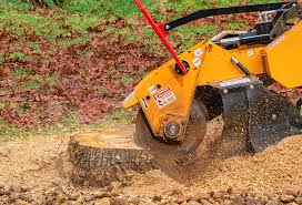 Best Firewood Processing and Delivery  in Madison, NJ